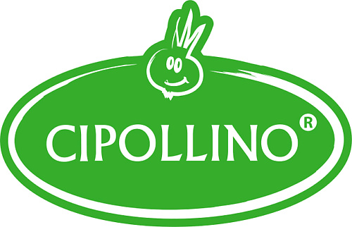 CIPOLLINO