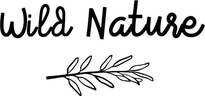WILD NATURE